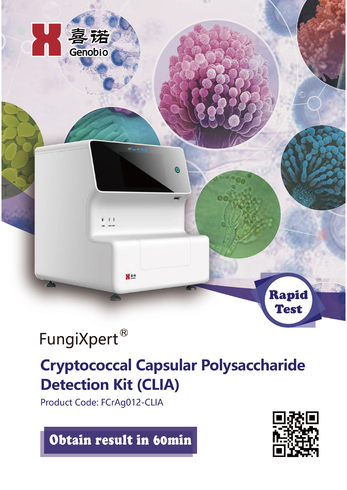 FungiXpert® Cryptococcal Capsular Polysaccharide Detection Kit (CLIA)